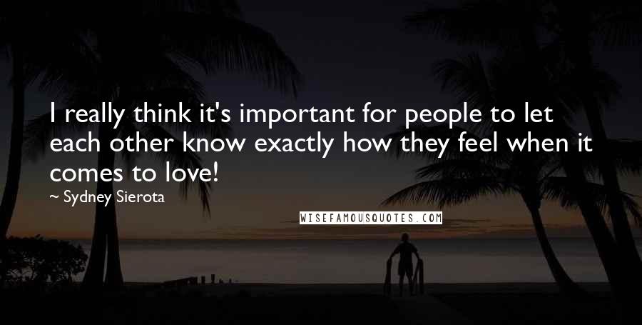 Sydney Sierota Quotes: I really think it's important for people to let each other know exactly how they feel when it comes to love!