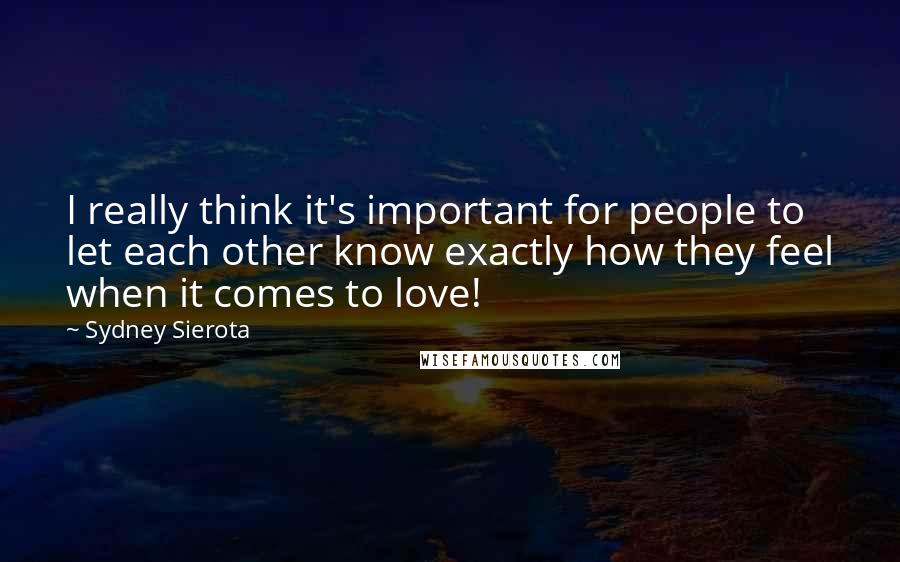 Sydney Sierota Quotes: I really think it's important for people to let each other know exactly how they feel when it comes to love!