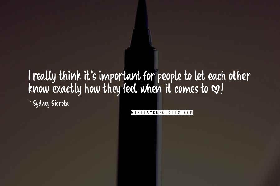 Sydney Sierota Quotes: I really think it's important for people to let each other know exactly how they feel when it comes to love!