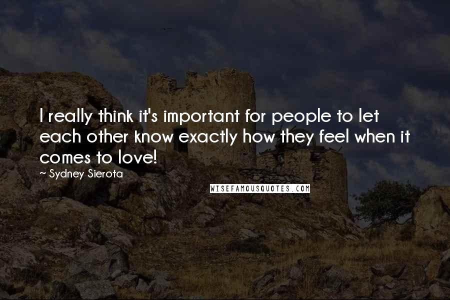 Sydney Sierota Quotes: I really think it's important for people to let each other know exactly how they feel when it comes to love!