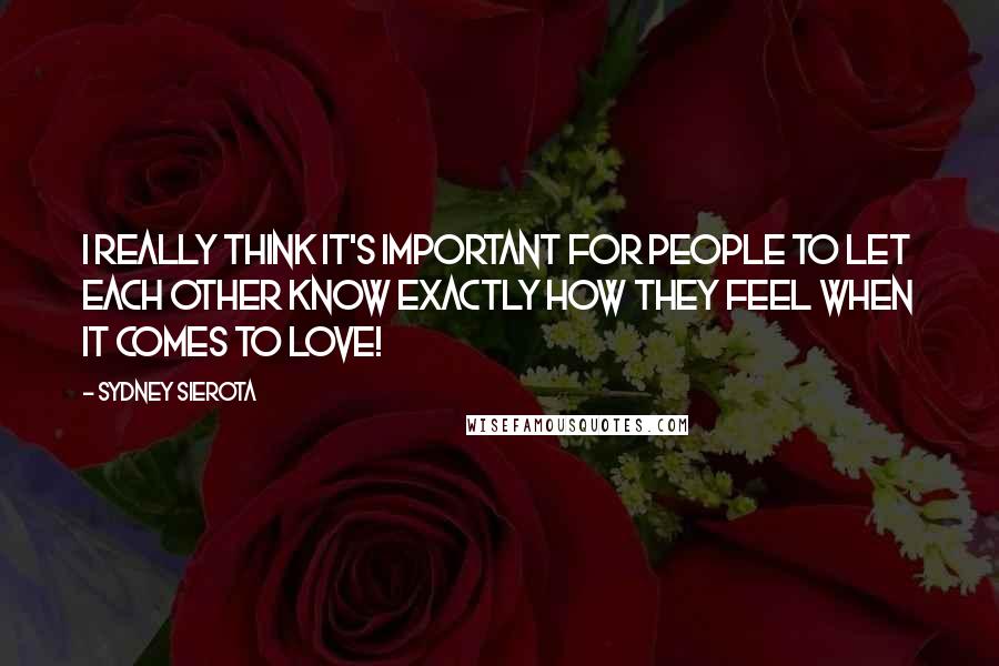 Sydney Sierota Quotes: I really think it's important for people to let each other know exactly how they feel when it comes to love!