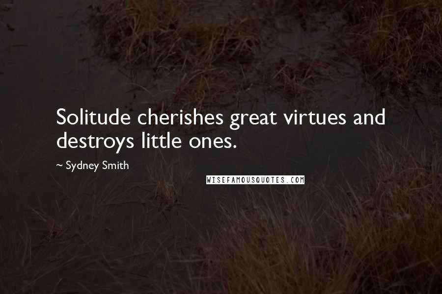 Sydney Smith Quotes: Solitude cherishes great virtues and destroys little ones.