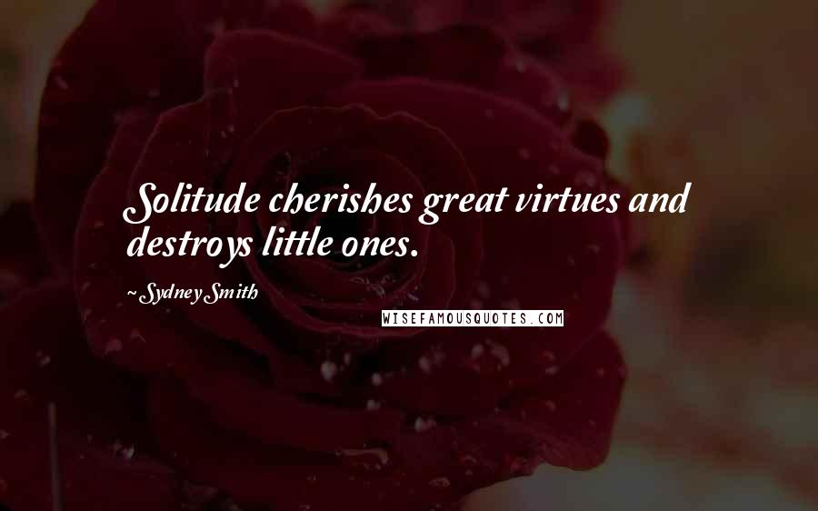 Sydney Smith Quotes: Solitude cherishes great virtues and destroys little ones.