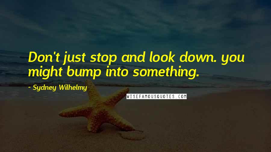 Sydney Wilhelmy Quotes: Don't just stop and look down. you might bump into something.