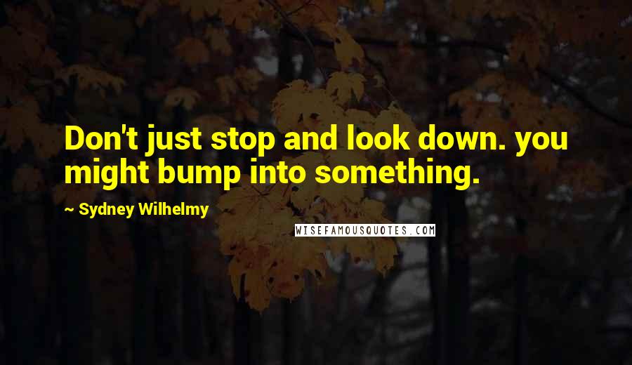 Sydney Wilhelmy Quotes: Don't just stop and look down. you might bump into something.