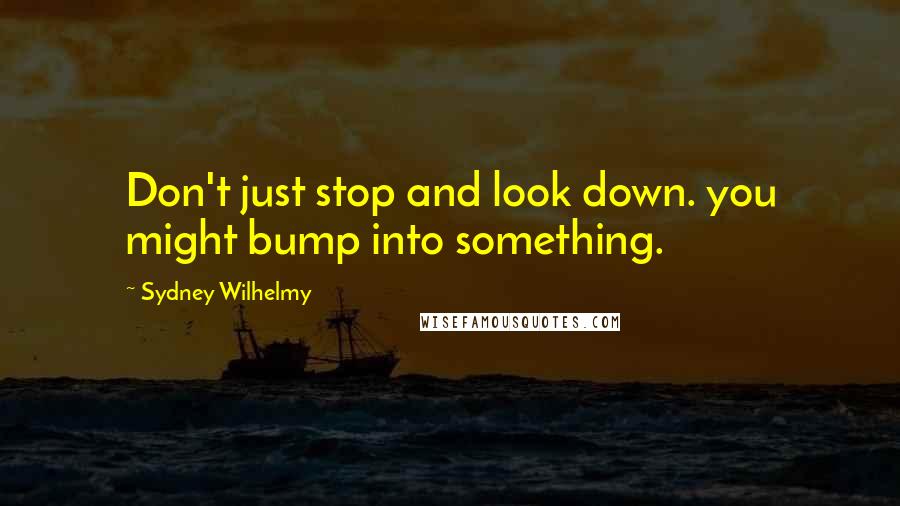 Sydney Wilhelmy Quotes: Don't just stop and look down. you might bump into something.