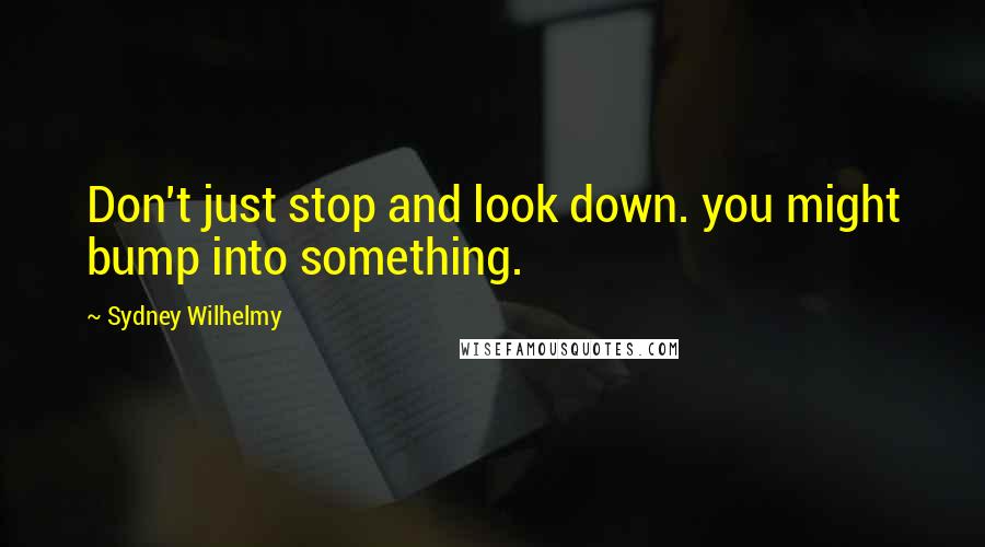 Sydney Wilhelmy Quotes: Don't just stop and look down. you might bump into something.