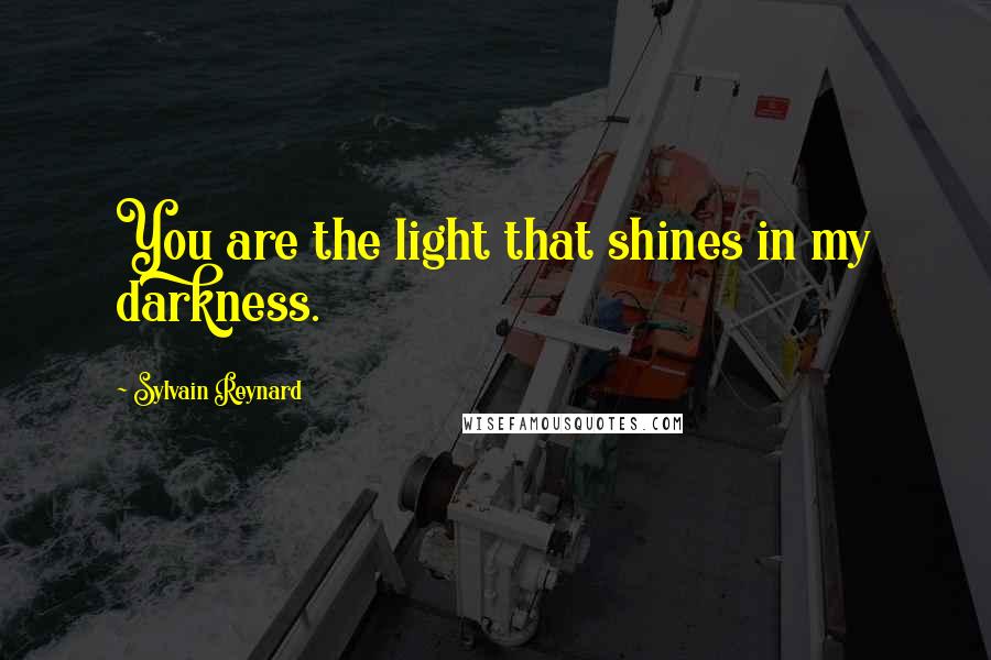 Sylvain Reynard Quotes: You are the light that shines in my darkness.