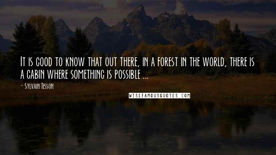Sylvain Tesson Quotes: It is good to know that out there, in a forest in the world, there is a cabin where something is possible ...