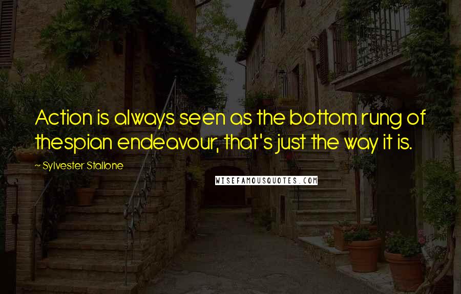 Sylvester Stallone Quotes: Action is always seen as the bottom rung of thespian endeavour, that's just the way it is.