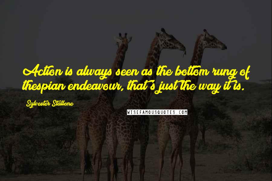 Sylvester Stallone Quotes: Action is always seen as the bottom rung of thespian endeavour, that's just the way it is.