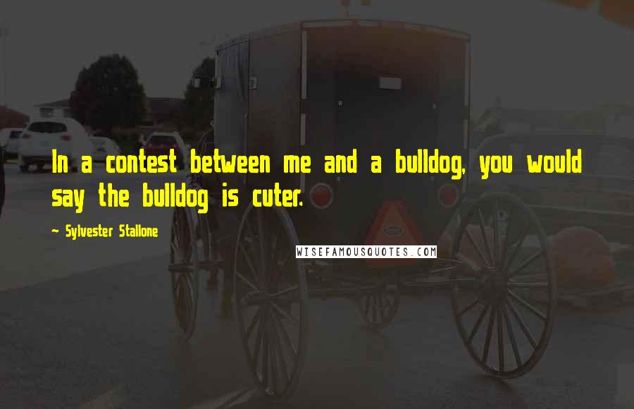 Sylvester Stallone Quotes: In a contest between me and a bulldog, you would say the bulldog is cuter.