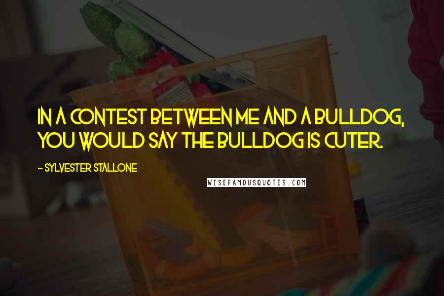 Sylvester Stallone Quotes: In a contest between me and a bulldog, you would say the bulldog is cuter.