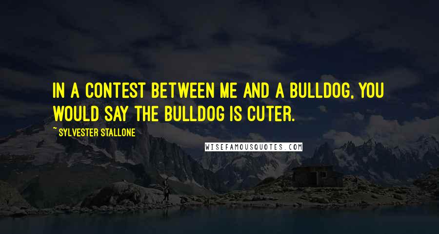 Sylvester Stallone Quotes: In a contest between me and a bulldog, you would say the bulldog is cuter.
