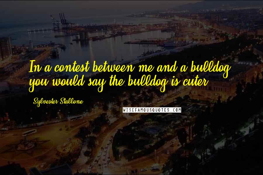 Sylvester Stallone Quotes: In a contest between me and a bulldog, you would say the bulldog is cuter.