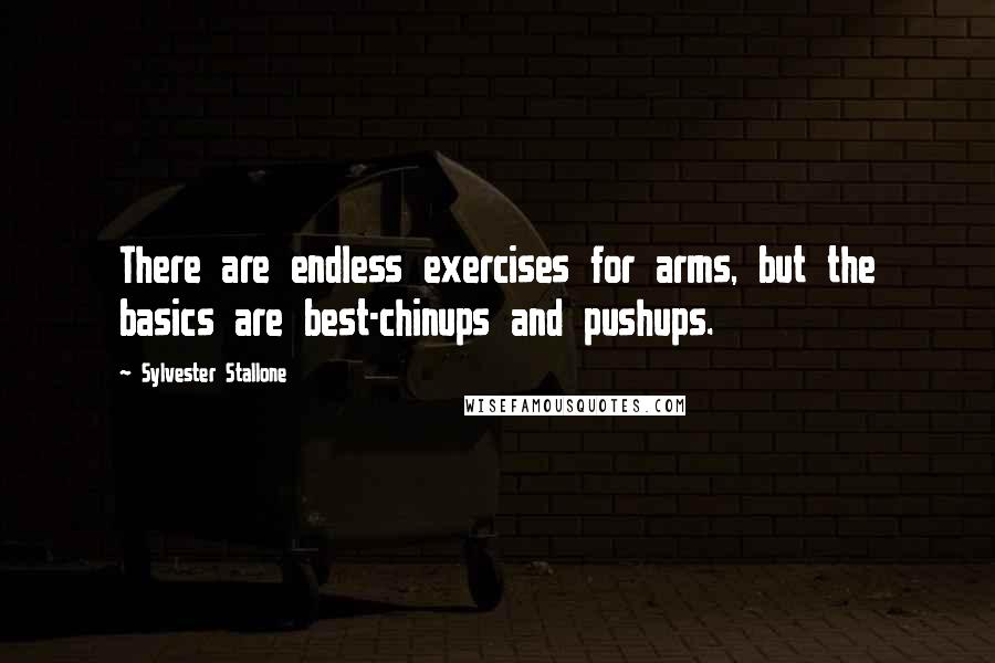 Sylvester Stallone Quotes: There are endless exercises for arms, but the basics are best-chinups and pushups.