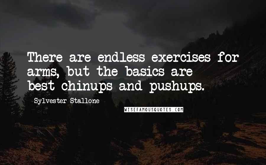 Sylvester Stallone Quotes: There are endless exercises for arms, but the basics are best-chinups and pushups.