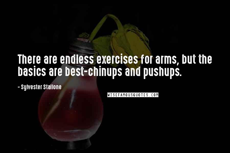 Sylvester Stallone Quotes: There are endless exercises for arms, but the basics are best-chinups and pushups.