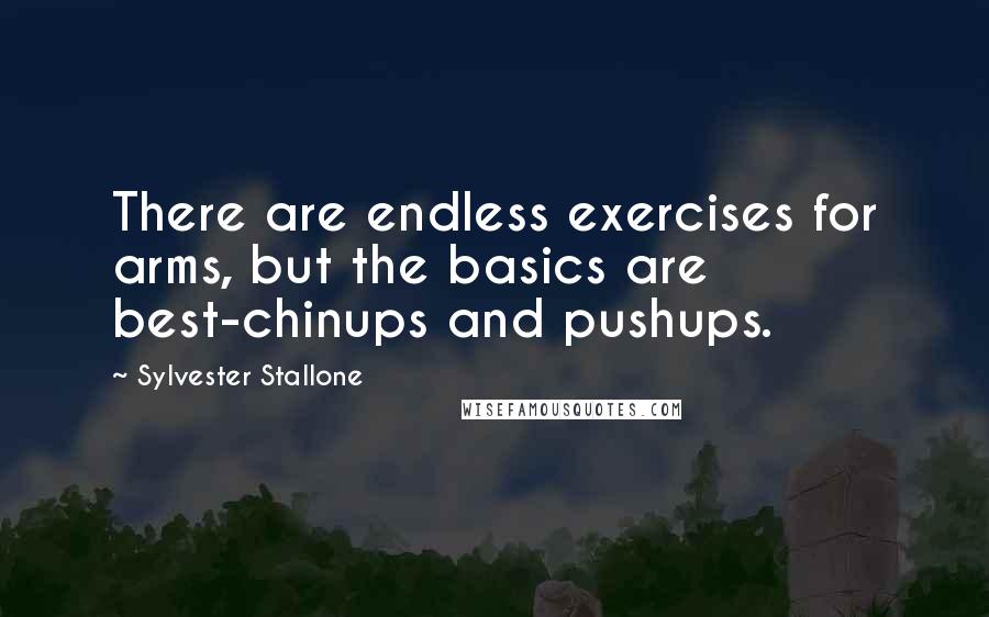 Sylvester Stallone Quotes: There are endless exercises for arms, but the basics are best-chinups and pushups.