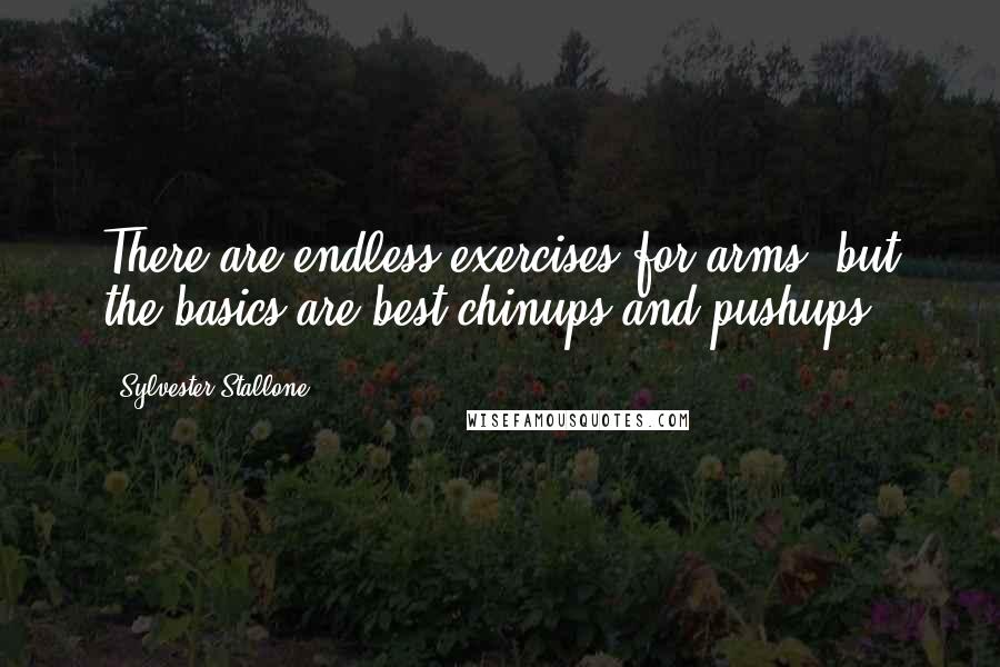 Sylvester Stallone Quotes: There are endless exercises for arms, but the basics are best-chinups and pushups.