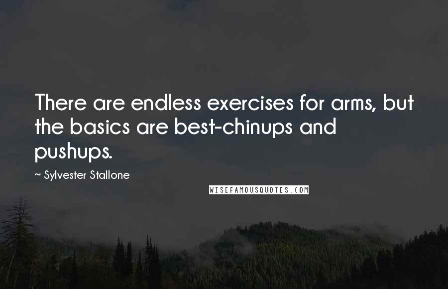 Sylvester Stallone Quotes: There are endless exercises for arms, but the basics are best-chinups and pushups.