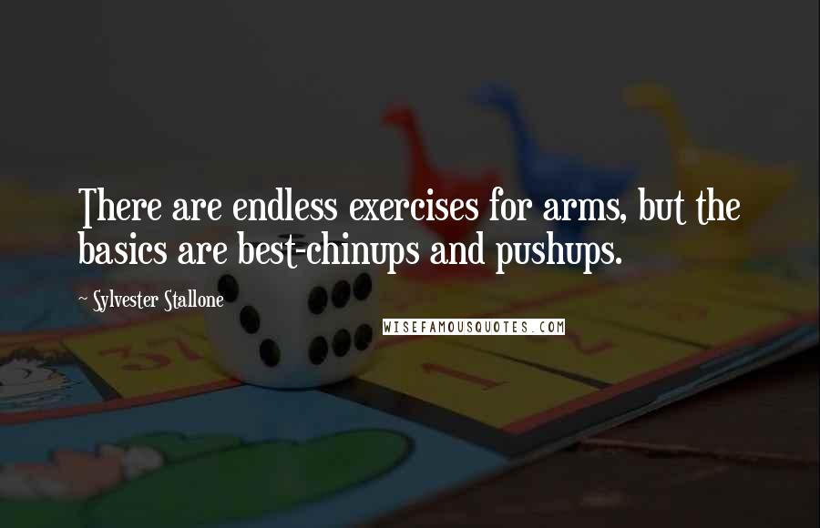 Sylvester Stallone Quotes: There are endless exercises for arms, but the basics are best-chinups and pushups.