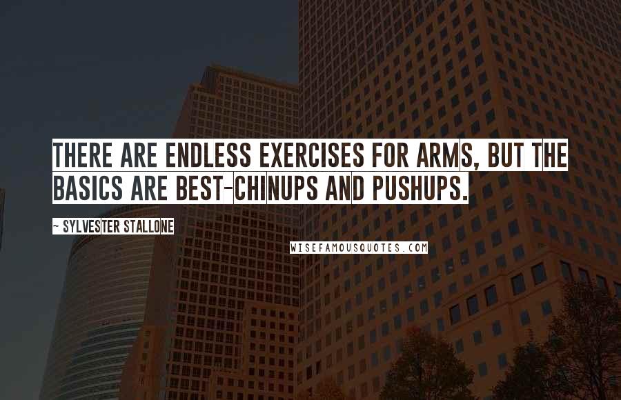 Sylvester Stallone Quotes: There are endless exercises for arms, but the basics are best-chinups and pushups.