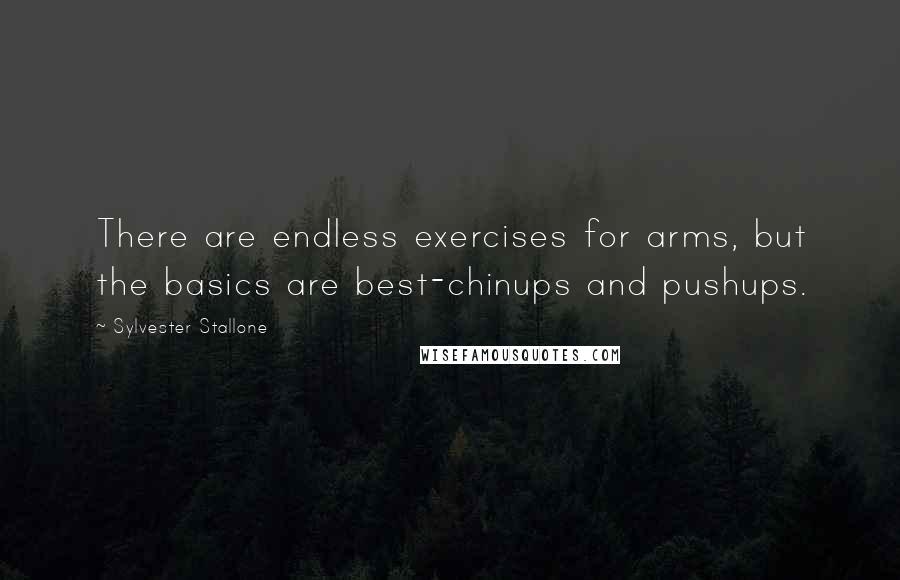 Sylvester Stallone Quotes: There are endless exercises for arms, but the basics are best-chinups and pushups.