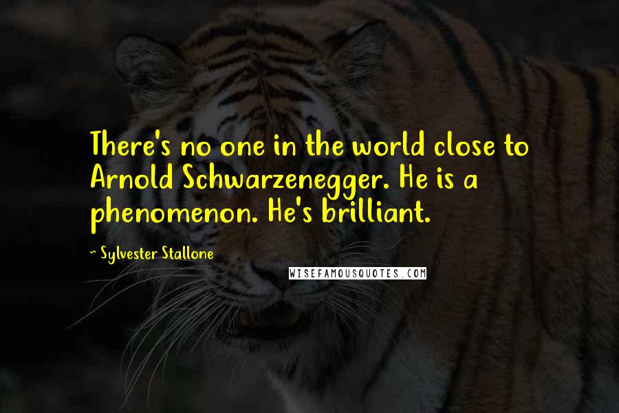 Sylvester Stallone Quotes: There's no one in the world close to Arnold Schwarzenegger. He is a phenomenon. He's brilliant.