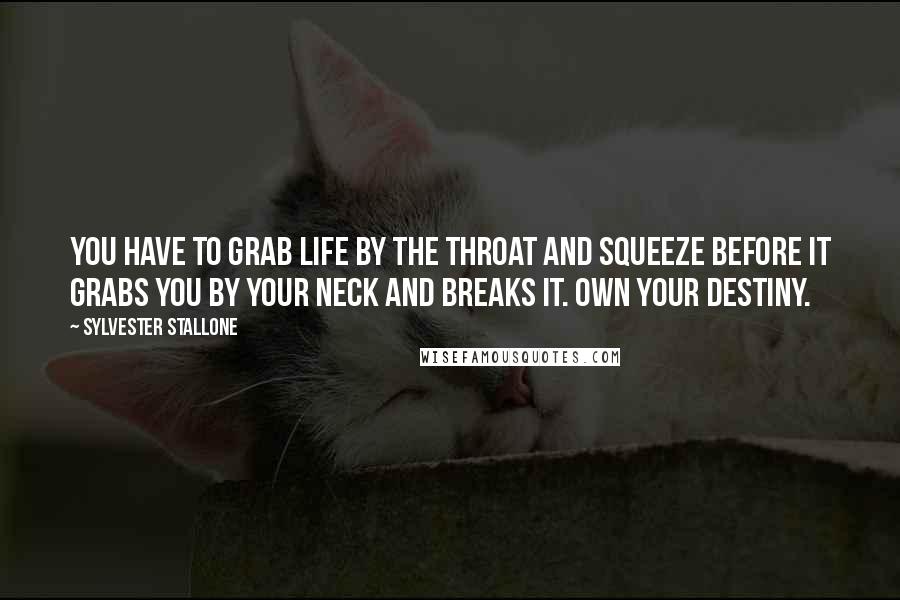 Sylvester Stallone Quotes: You have to grab life by the throat and squeeze before it grabs you by your neck and breaks it. Own your destiny.