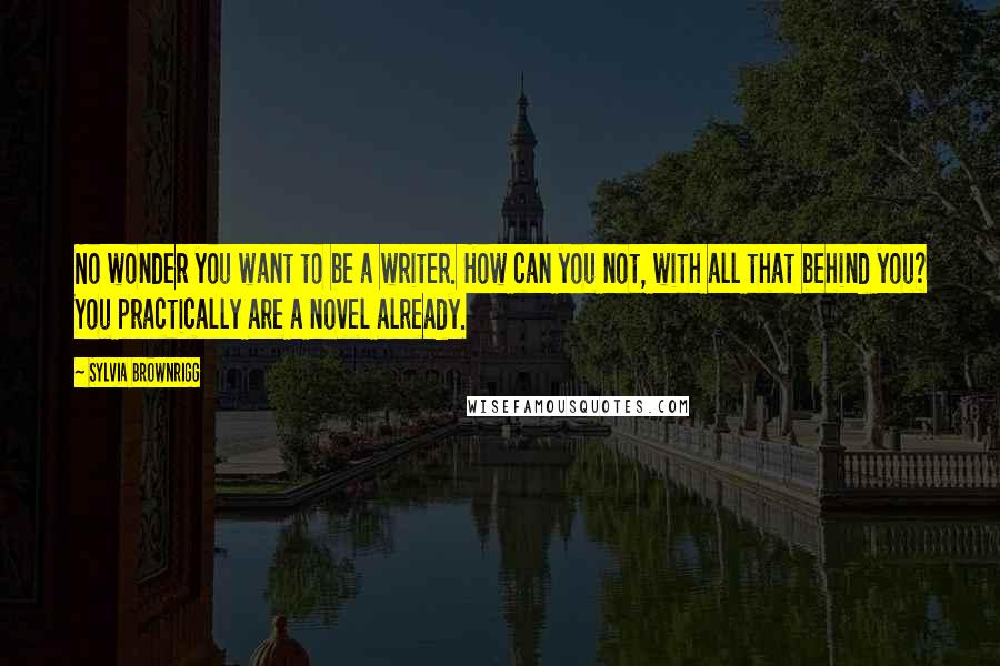 Sylvia Brownrigg Quotes: No wonder you want to be a writer. How can you not, with all that behind you? You practically are a novel already.