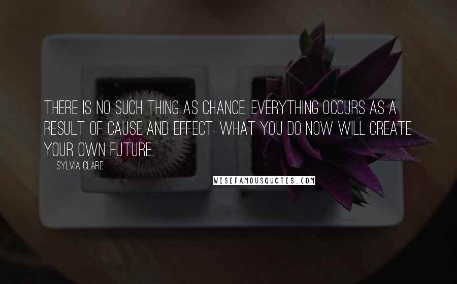 Sylvia Clare Quotes: There is no such thing as chance. Everything occurs as a result of cause and effect; what you do now will create your own future.