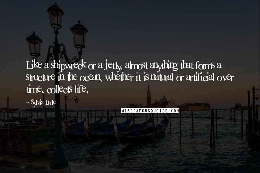 Sylvia Earle Quotes: Like a shipwreck or a jetty, almost anything that forms a structure in the ocean, whether it is natural or artificial over time, collects life.