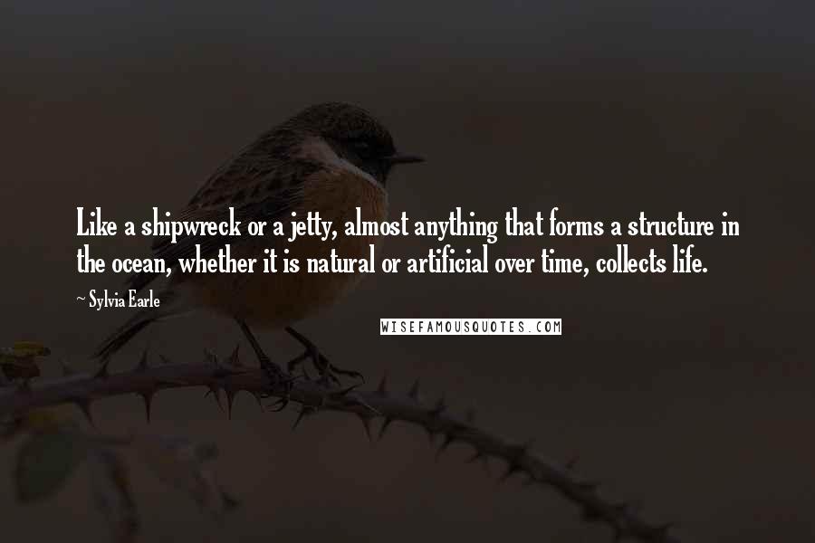 Sylvia Earle Quotes: Like a shipwreck or a jetty, almost anything that forms a structure in the ocean, whether it is natural or artificial over time, collects life.