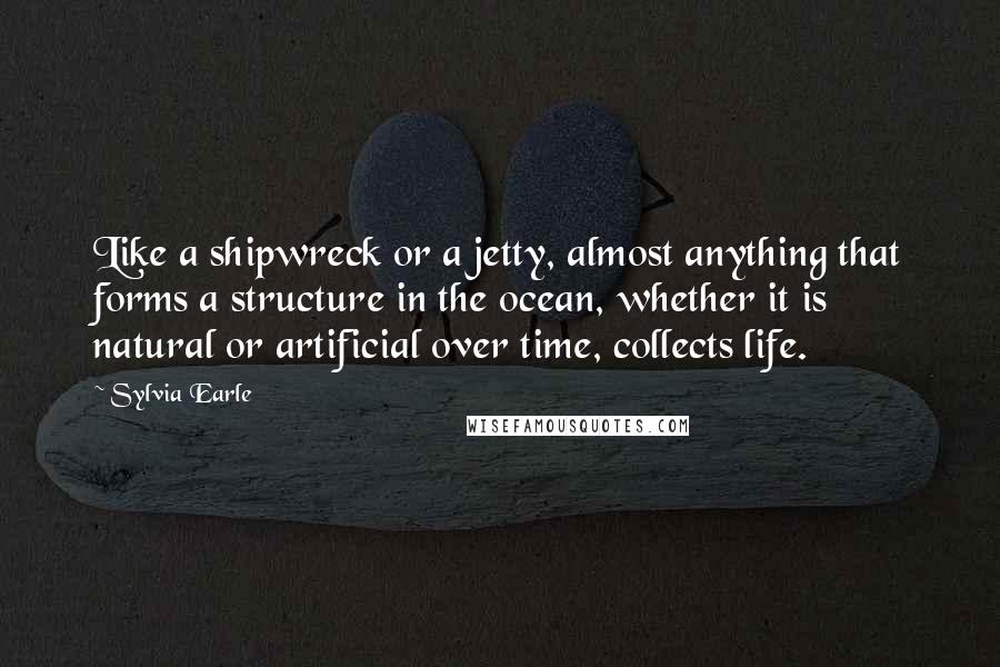 Sylvia Earle Quotes: Like a shipwreck or a jetty, almost anything that forms a structure in the ocean, whether it is natural or artificial over time, collects life.