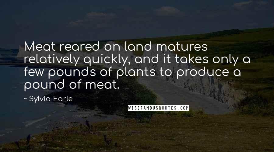 Sylvia Earle Quotes: Meat reared on land matures relatively quickly, and it takes only a few pounds of plants to produce a pound of meat.