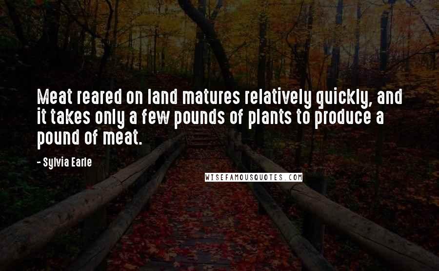 Sylvia Earle Quotes: Meat reared on land matures relatively quickly, and it takes only a few pounds of plants to produce a pound of meat.