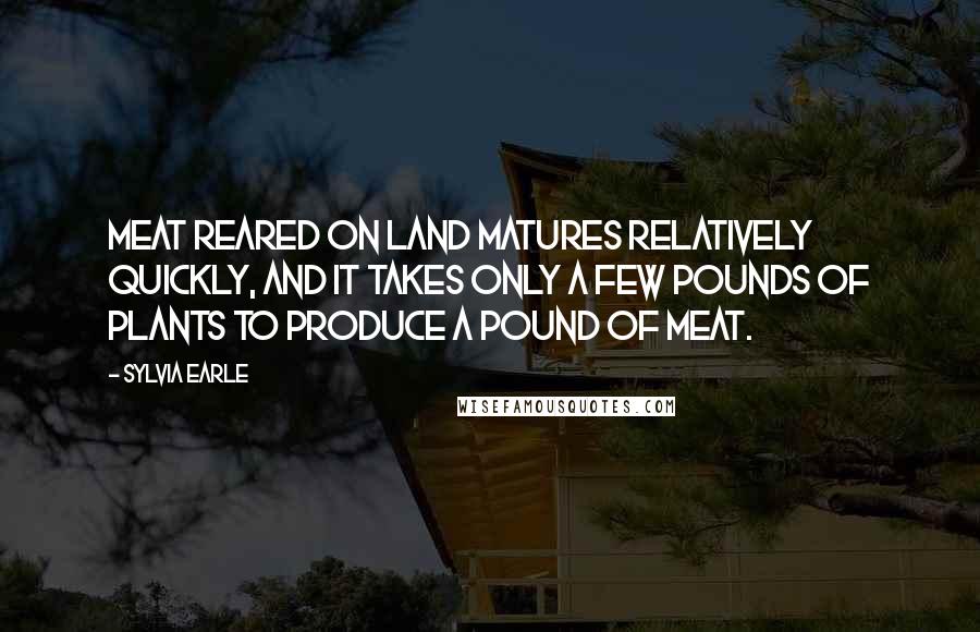 Sylvia Earle Quotes: Meat reared on land matures relatively quickly, and it takes only a few pounds of plants to produce a pound of meat.