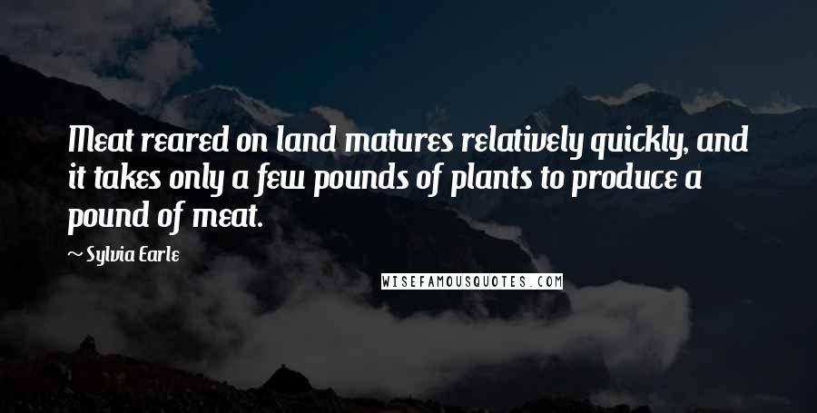 Sylvia Earle Quotes: Meat reared on land matures relatively quickly, and it takes only a few pounds of plants to produce a pound of meat.