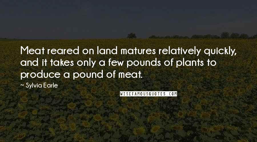 Sylvia Earle Quotes: Meat reared on land matures relatively quickly, and it takes only a few pounds of plants to produce a pound of meat.