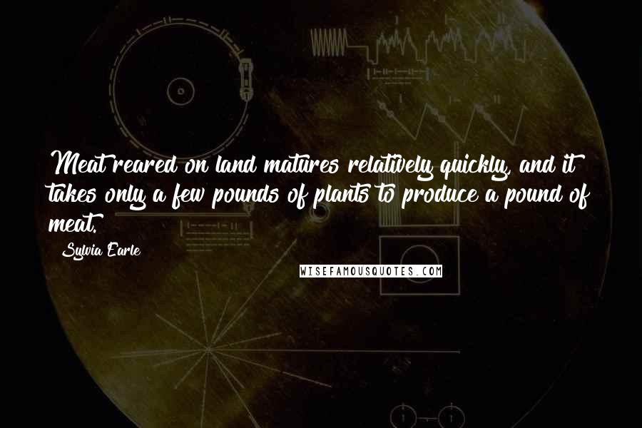 Sylvia Earle Quotes: Meat reared on land matures relatively quickly, and it takes only a few pounds of plants to produce a pound of meat.