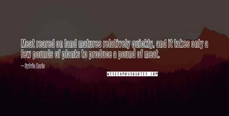Sylvia Earle Quotes: Meat reared on land matures relatively quickly, and it takes only a few pounds of plants to produce a pound of meat.