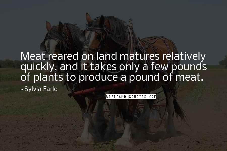 Sylvia Earle Quotes: Meat reared on land matures relatively quickly, and it takes only a few pounds of plants to produce a pound of meat.