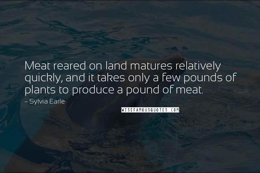 Sylvia Earle Quotes: Meat reared on land matures relatively quickly, and it takes only a few pounds of plants to produce a pound of meat.