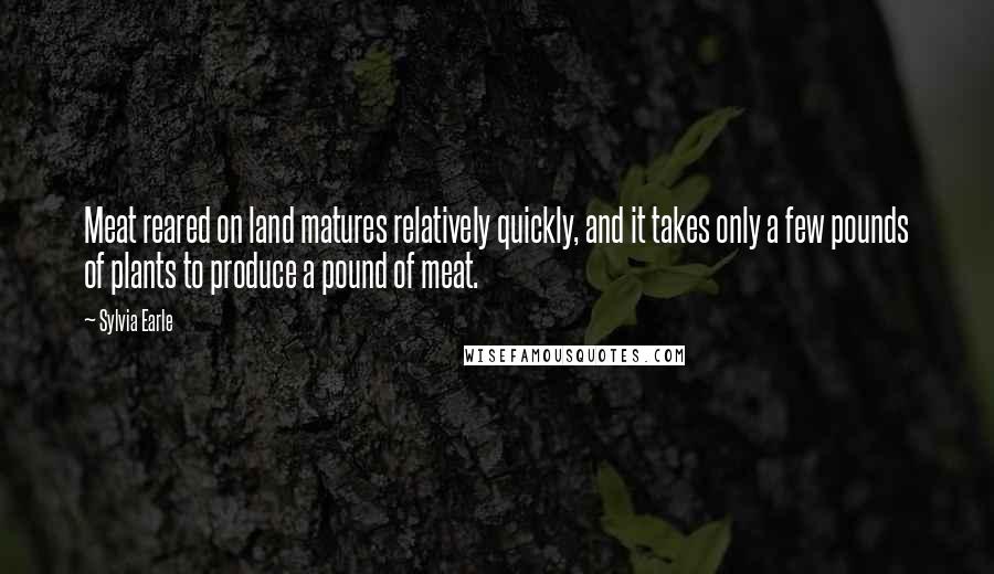 Sylvia Earle Quotes: Meat reared on land matures relatively quickly, and it takes only a few pounds of plants to produce a pound of meat.