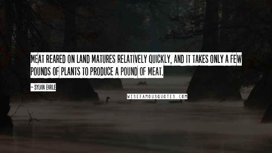 Sylvia Earle Quotes: Meat reared on land matures relatively quickly, and it takes only a few pounds of plants to produce a pound of meat.