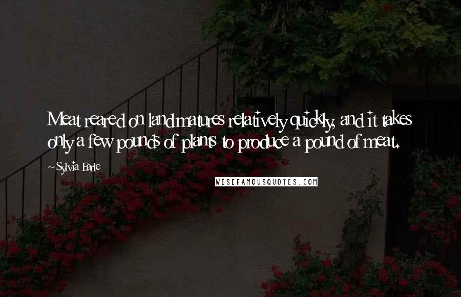 Sylvia Earle Quotes: Meat reared on land matures relatively quickly, and it takes only a few pounds of plants to produce a pound of meat.