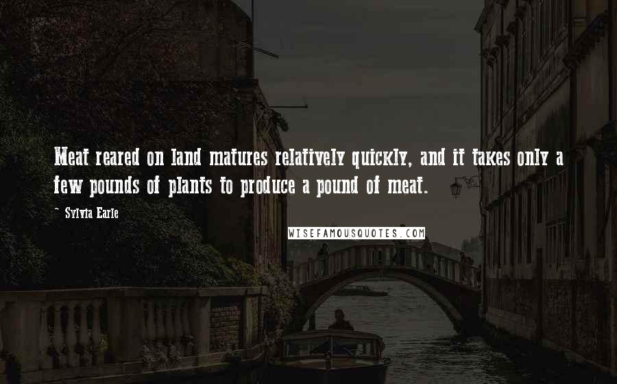 Sylvia Earle Quotes: Meat reared on land matures relatively quickly, and it takes only a few pounds of plants to produce a pound of meat.