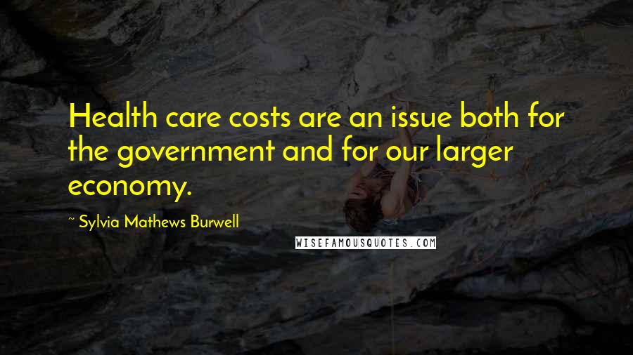 Sylvia Mathews Burwell Quotes: Health care costs are an issue both for the government and for our larger economy.