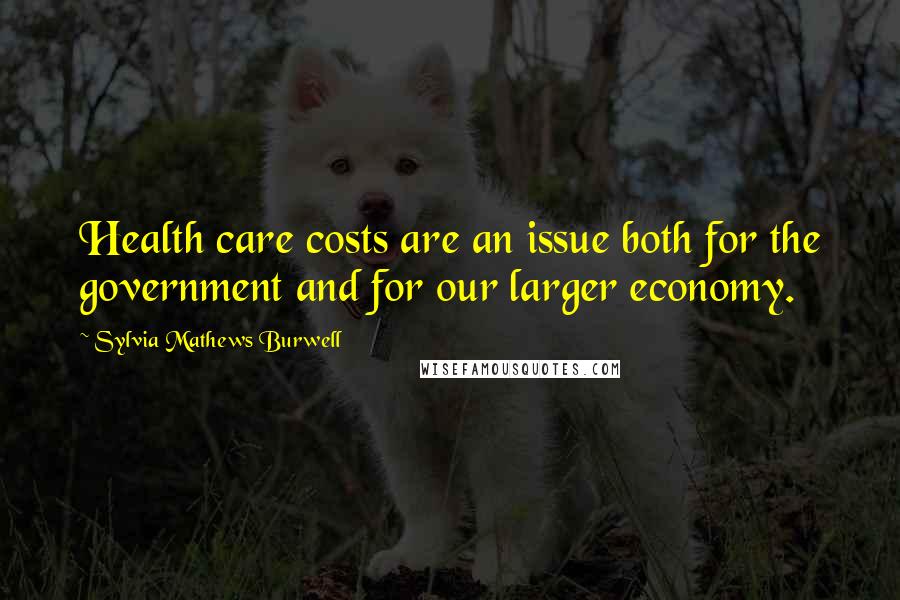 Sylvia Mathews Burwell Quotes: Health care costs are an issue both for the government and for our larger economy.